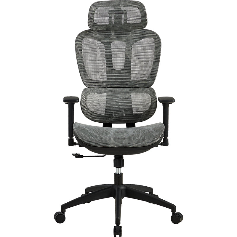Ergonomic Mesh Office Chair with Adjustable Lumbar, Headrest & Casters