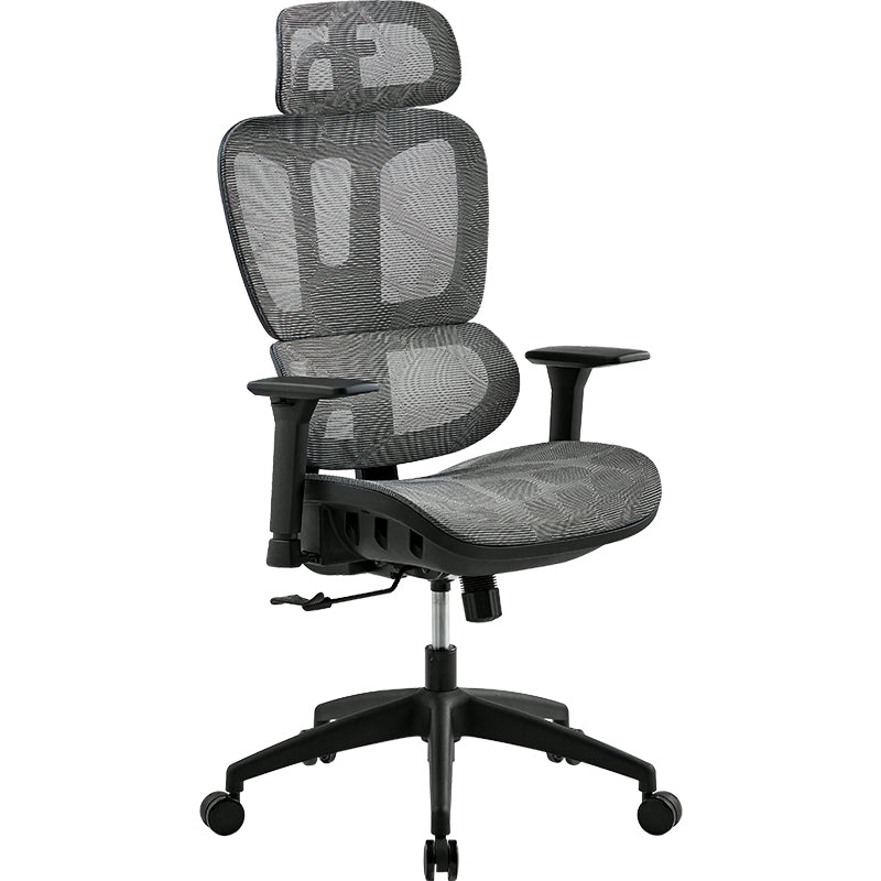 Ergonomic Mesh Office Chair with Adjustable Lumbar, Headrest & Casters